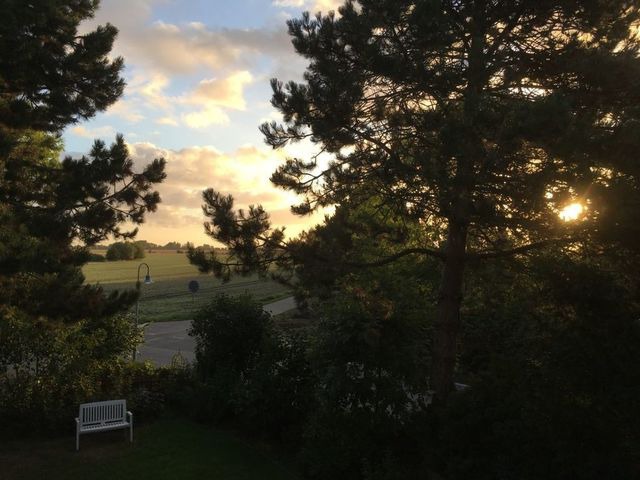 Ferienwohnung in Fehmarn OT Gammendorf - Fehmarn Ferienhaus Backbord, exklusives Oberdeck - Bild 4