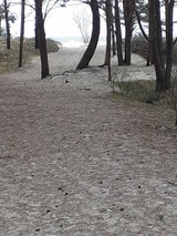 Ferienwohnung in Karlshagen - ferienwohnung k&ouml;ster - Bild 17