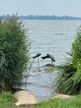 Ferienhaus in Eckernförde - Ferienhaus Sprottenfang - Bild 23