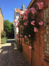Ferienhaus in Eckernförde - Ferienhaus Sprottenfang - Bild 1