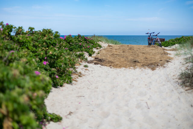Ferienwohnung in Dierhagen - DER STÖRTEBEKER - "Apartment Born" | Apartments hinter den Dünen - Bild 13