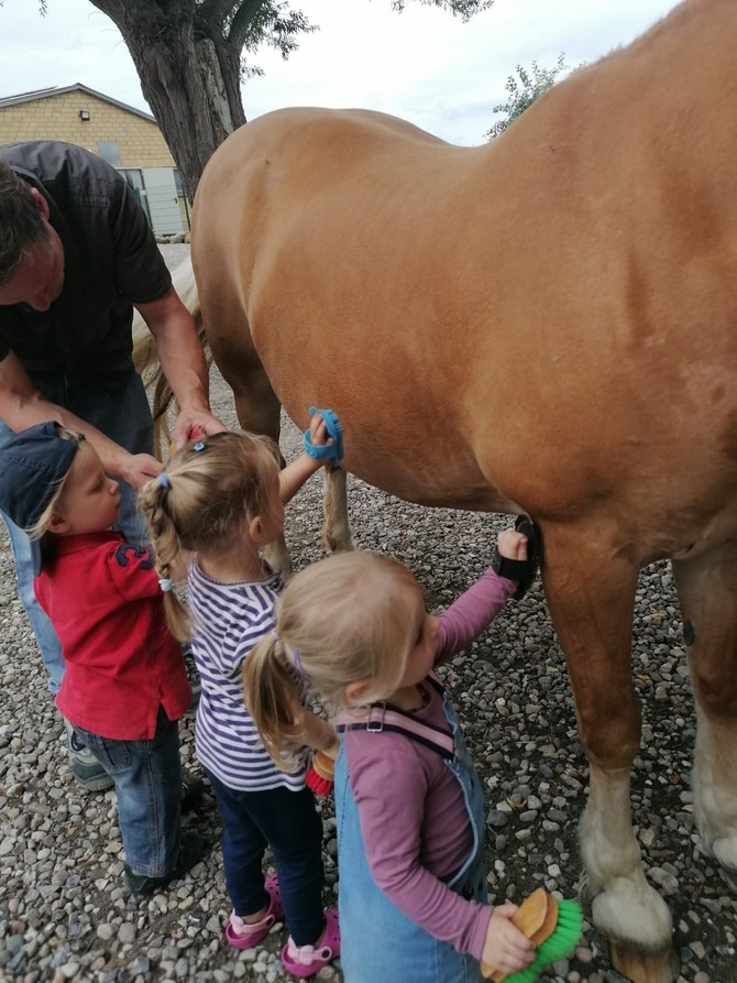 Ferienwohnung in Grube - Ferienhof Stoldt - Ponys putzen vor dem Reiten