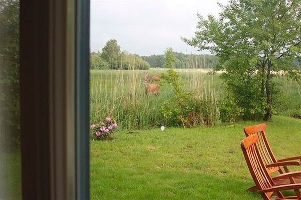 Ferienwohnung in Ostseeheilbad Zingst - Freesenkietz, FW 2.4 - Bild 12