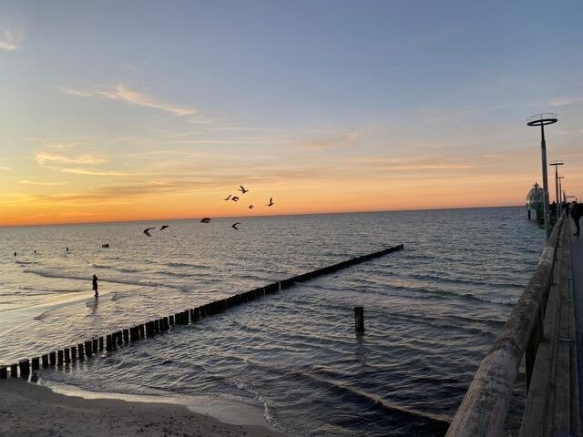 Ferienhaus in Ostseeheilbad Zingst - Ferienhaus Mein Panama - Bild 19