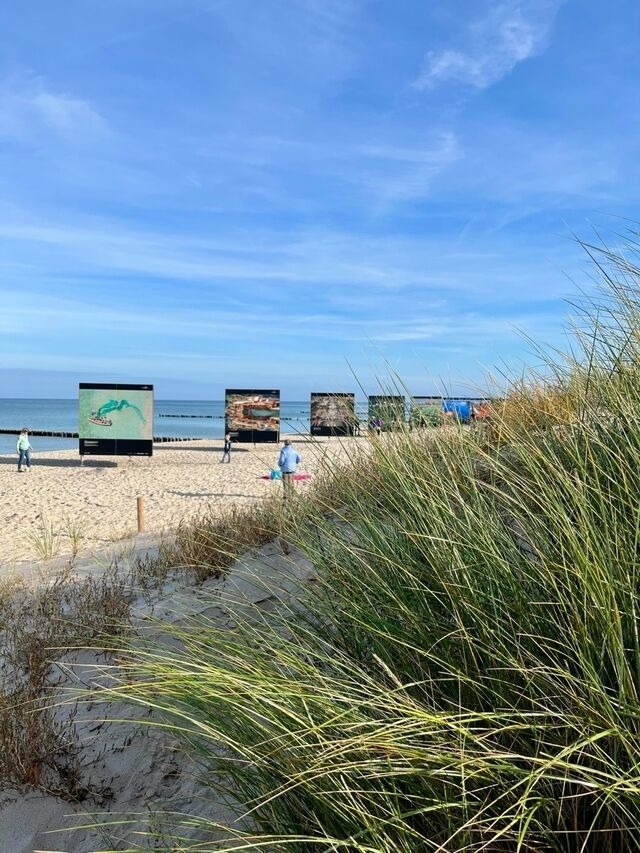 Ferienwohnung in Zingst - Villa "Meereslust", Whg. 2 - Bild 15