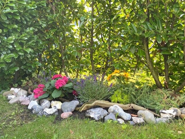 Ferienwohnung in Ostseeheilbad Zingst - Villa Carpe Diem,Whg. 1 - Bild 18