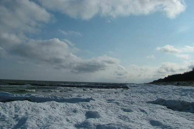 Ferienwohnung in Zingst - Anni - Bild 17