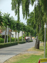 Ferienwohnung in Ostseeheilbad Zingst - Anni - Bild 15