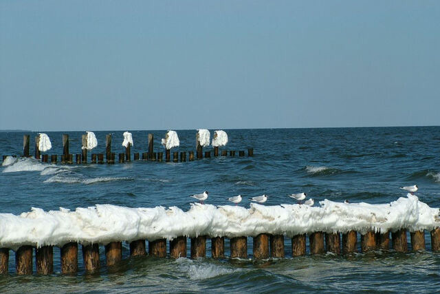 Ferienwohnung in Ostseeheilbad Zingst - Anni - Bild 16