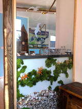 Ferienwohnung in Zingst - Achterdeck FW 2 - Bild 18