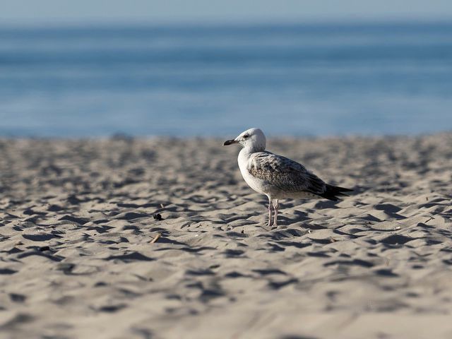 Ferienwohnung in Ostseeheilbad Zingst - Les Belles, Haus Cecile, FW Romantique, Whg. 5 - Bild 20
