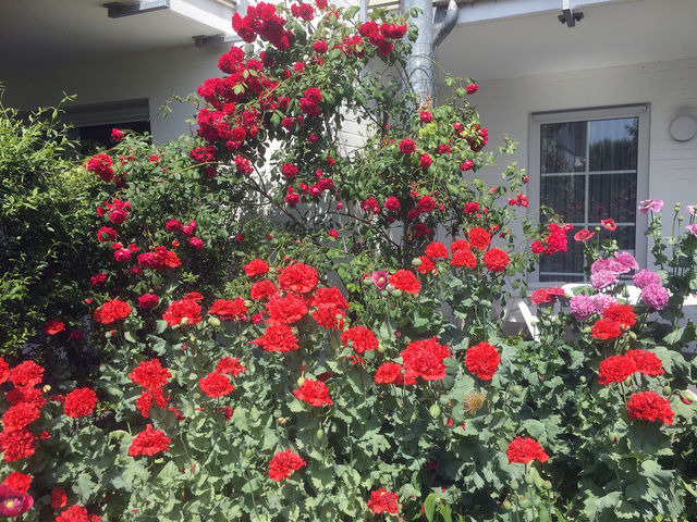 Ferienwohnung in Zingst - Strandkieker 14, PP innen - Bild 7