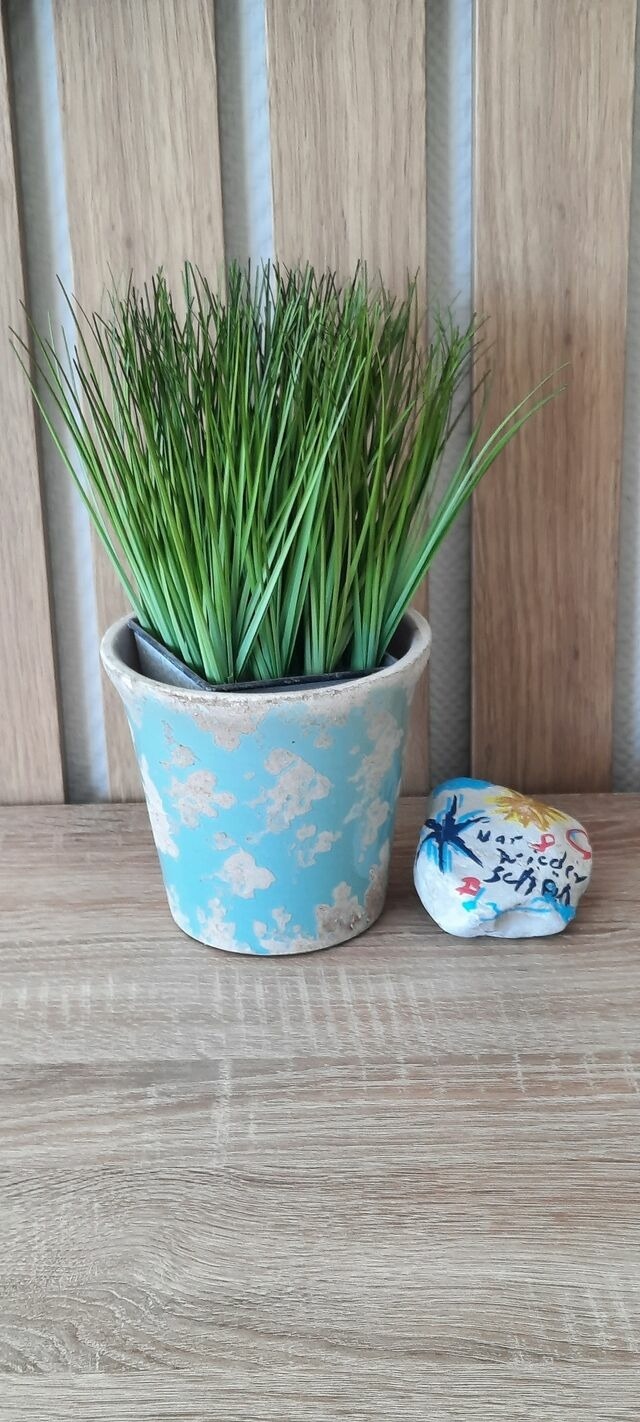 Ferienwohnung in Grömitz - Haus Panorama - Kleines Sternchen - Bild 7