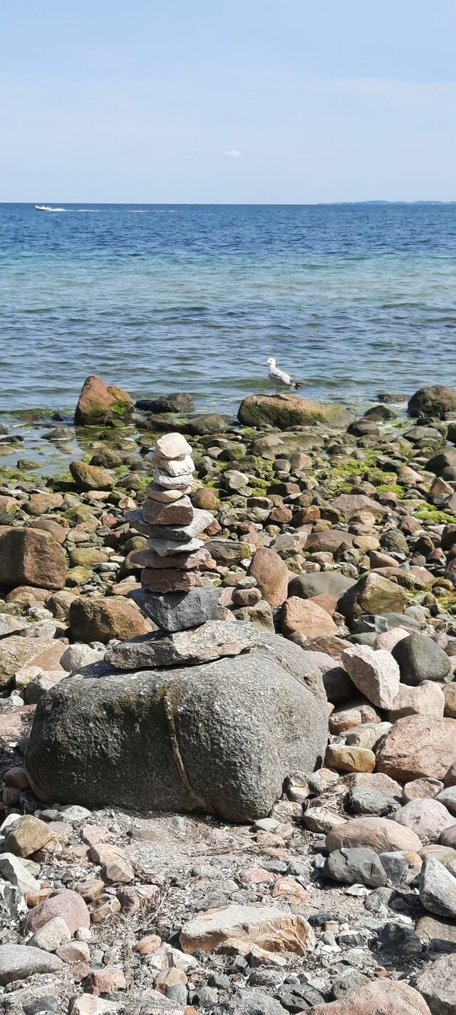 Ferienwohnung in Grömitz - Haus Panorama - Kleines Sternchen - Bild 25