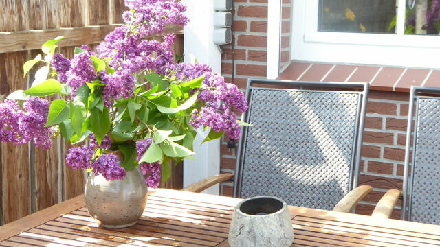 Ferienwohnung in Schönberg - Schimmelpfennig, Frauke: "Ostsee-Oase" - Bild 21