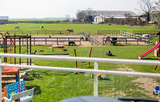 Ferienwohnung in Fehmarn - Ferienhof B&uuml;dlfarm - Nische - Bild 7