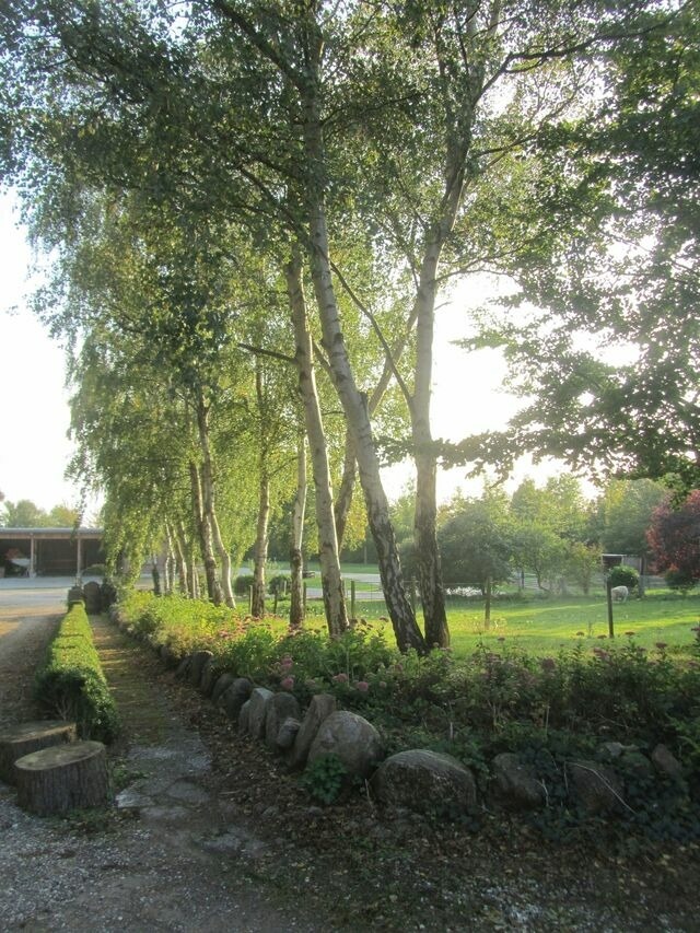 Ferienwohnung in Fehmarn - Fehmarn Beltblick - Wohnung West - Bild 14