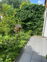 Ferienwohnung in Hohwacht - Hohes Ufer 20 Ostseeluft - Bild 19