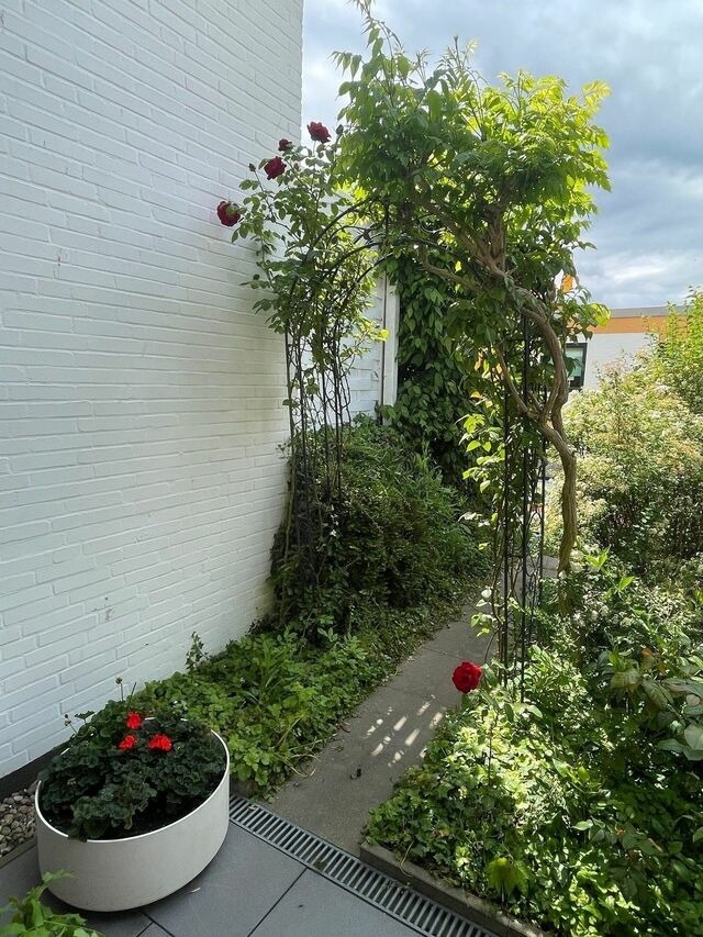 Ferienwohnung in Hohwacht - Hohes Ufer 20 Ostseeluft - Bild 21