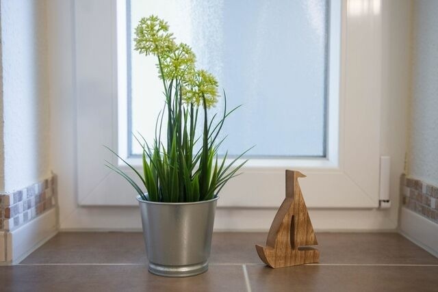 Ferienwohnung in Dahme - Haus Meeresgl&uuml;ck Wohnung Seem&ouml;we - Bild 16