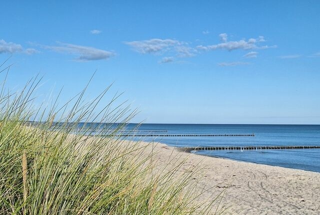 Ferienwohnung in Zingst - Ostseeresidenz - Whg. 24 - Bild 15