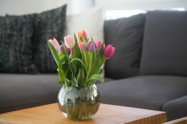 Ferienwohnung in Eckernf&ouml;rde - Goldsprotte - Bild 15