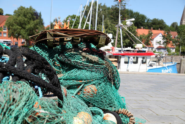 Ferienwohnung in Eckernf&ouml;rde - Goldsprotte - Bild 20