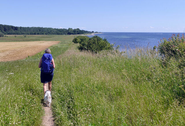 Ferienwohnung in Eckernf&ouml;rde - Goldsprotte - Bild 22