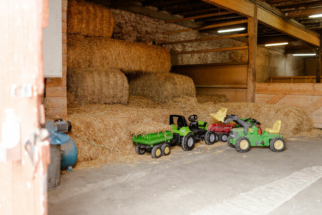 Ferienwohnung in Fehmarn OT Staberdorf - Alte Schule 1 - Bild 24