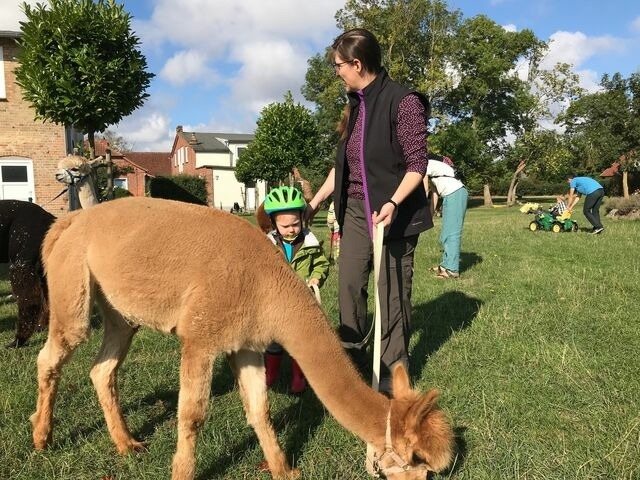 Ferienhaus in Fehmarn OT Staberdorf - Gartenhaus 1, inkl. 1 Parkplatz - Bild 12