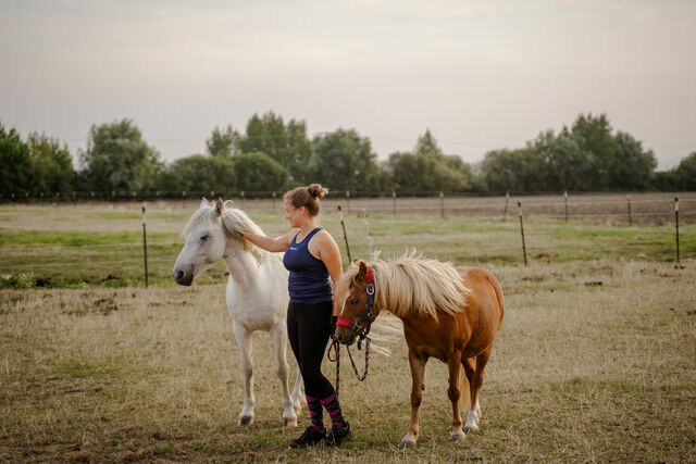 Ferienwohnung in Fehmarn OT Staberdorf - Alte Schule 2 - Bild 17