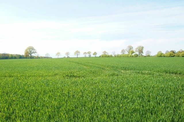 Bungalow in Dahme - Bungalow Möller - Bild 8