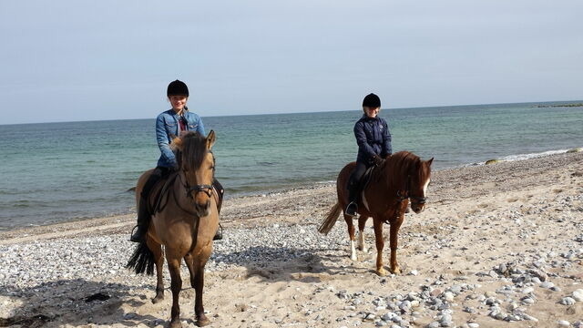 Ferienwohnung in Fehmarn OT Staberdorf - Landhaus 5, inkl. 1 Parkplatz - Bild 12