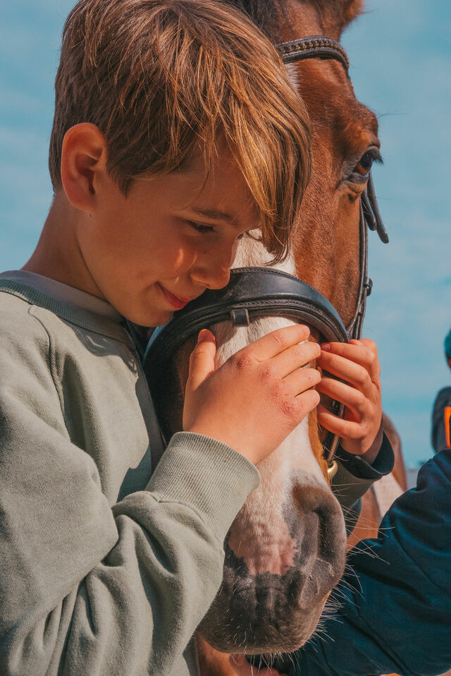 Ferienwohnung in Fehmarn OT Westermarkelsdorf - Brise - Bild 21