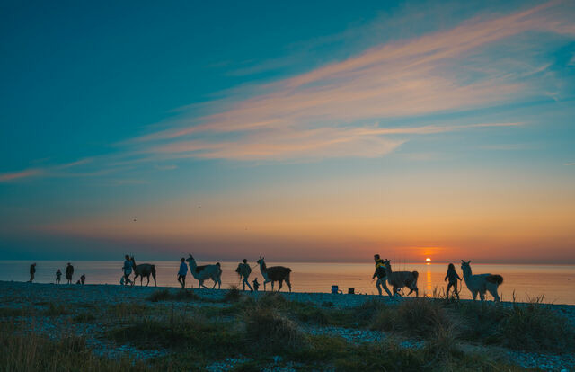 Ferienwohnung in Fehmarn OT Westermarkelsdorf - Twister - Bild 16