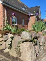 Ferienwohnung in Fehmarn OT Burg - Asterias - Bild 2