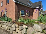 Ferienwohnung in Fehmarn OT Burg - Aplysia - Bild 1