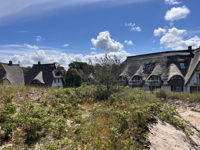 Ferienhaus in Dierhagen - Dünenmeer Ferienhäuser - Bild 22