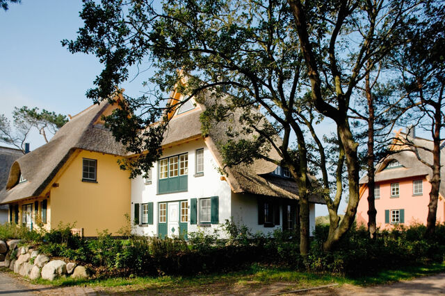 Ferienhaus in Dierhagen - Dünenmeer Ferienhäuser - Bild 3