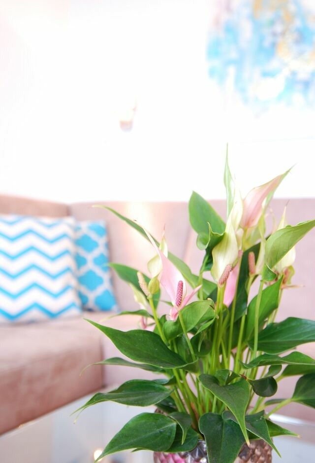 Ferienwohnung in Grömitz - STRANDIDYLL, 58 - Typ A1S - Bild 7