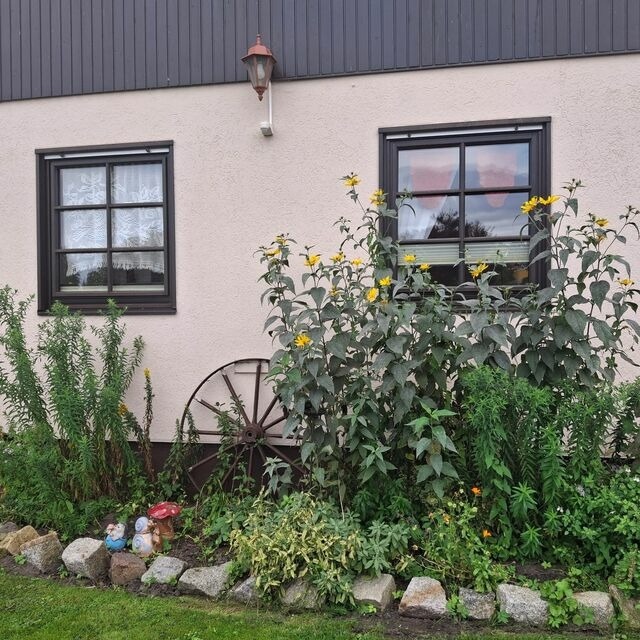 Ferienwohnung in Ostseeheilbad Zingst - Kuhn - Bild 6