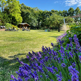 Ferienwohnung in Fehmarn - Ferienwohnung Ost - Bild 12