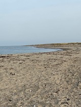 Ferienwohnung in Fehmarn - Ferienwohnung Süd - Bild 12