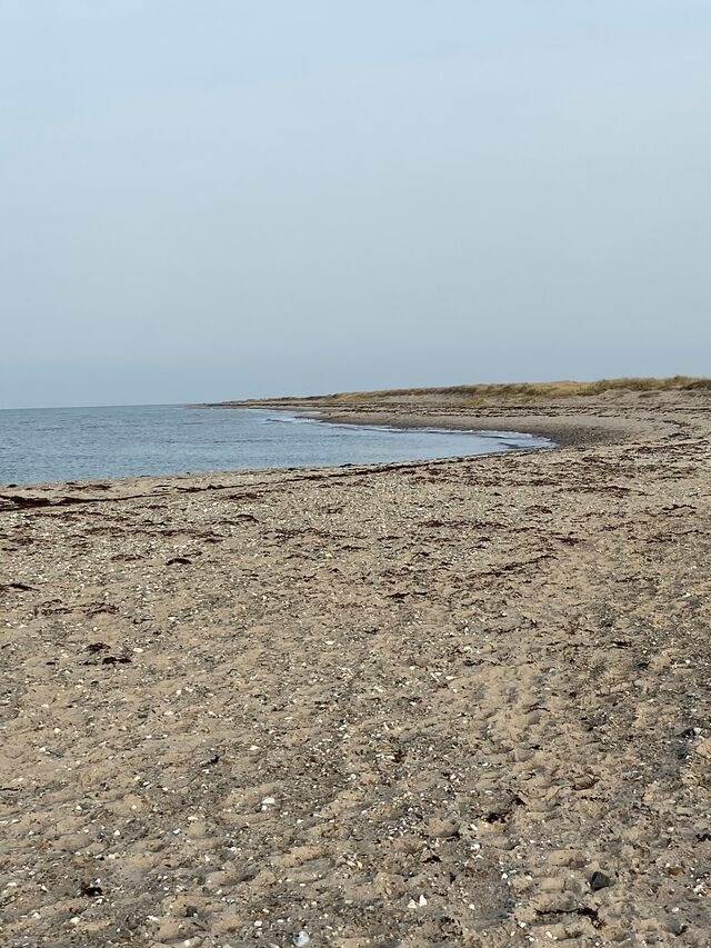 Ferienwohnung in Fehmarn - Ferienwohnung Süd - Bild 12