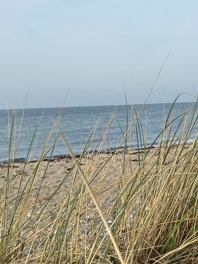 Ferienwohnung in Fehmarn - Ferienwohnung West - Bild 7