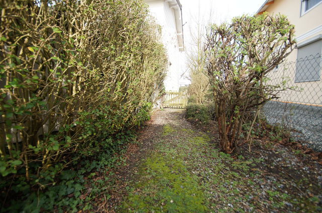 Ferienwohnung in Kellenhusen - D&uuml;nung - Bild 9