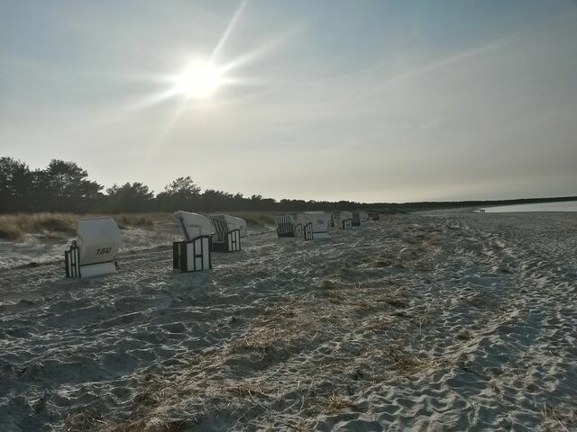 Ferienwohnung in Prerow - FeWo Weststrand - Heuser Prerow - Bild 16