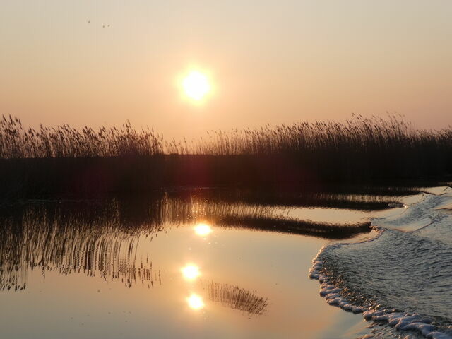 Ferienwohnung in Prerow - FeWo Weststrand - Heuser Prerow - Bild 18