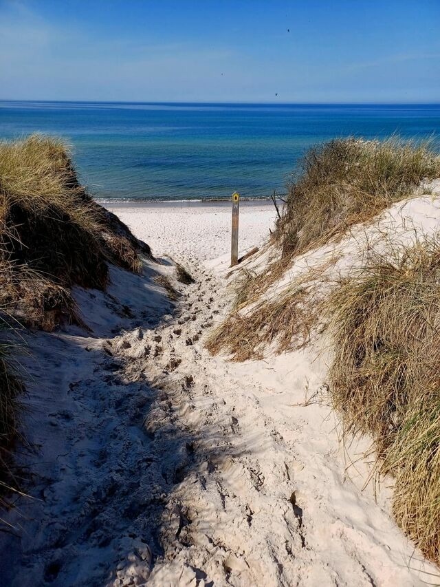 Ferienwohnung in Prerow - FeWo Weststrand - Heuser Prerow - Bild 20