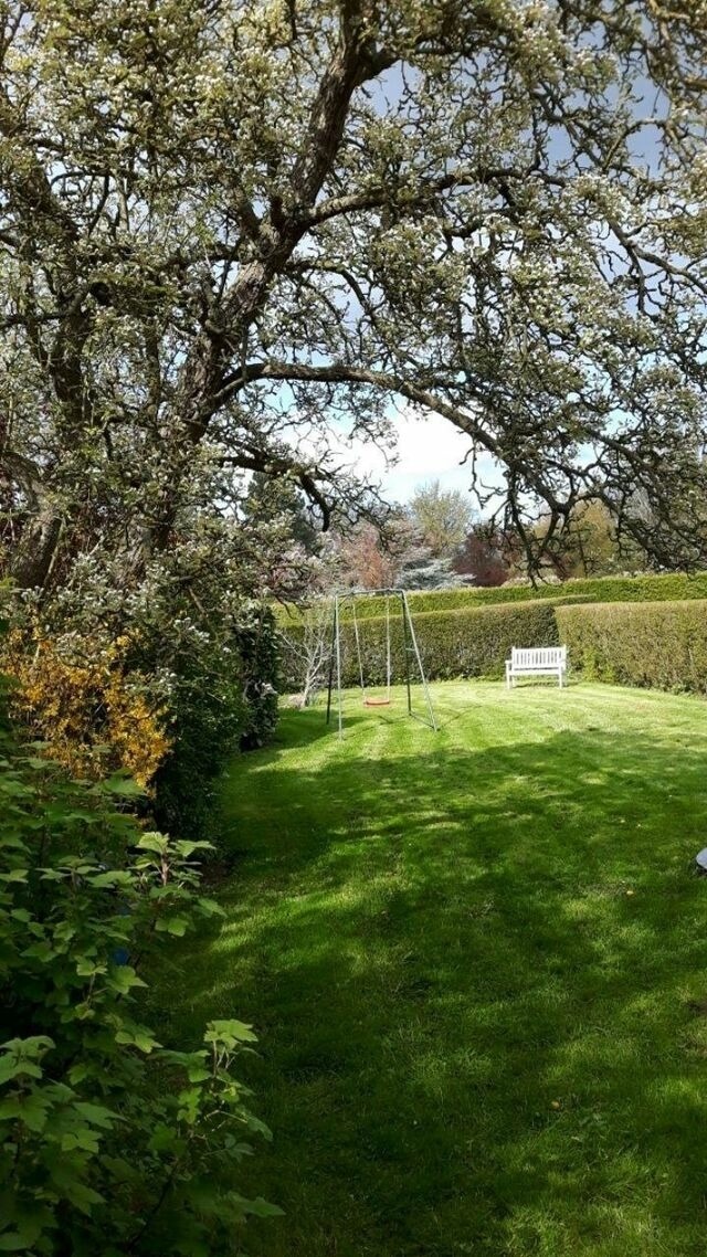 Ferienhaus in Fehmarn OT Sahrensdorf - Ferienhaus für die Großfamilie oder Gruppenhaus auf dem Ferien- und Bauernhof Nielson in Inselmitte - Bild 18